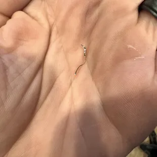 Piece of metal found in the Broccoli Beef that I was feeding my child
