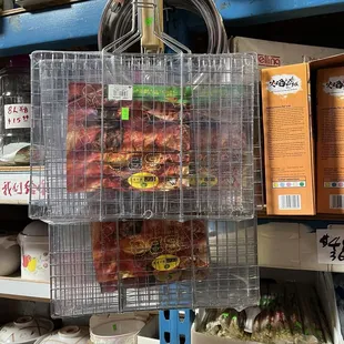 Inside New Comback International, San Leandro, CA.