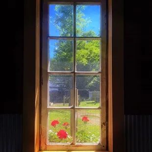 Store window looking out to farm.