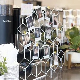 a coffee machine and a plant