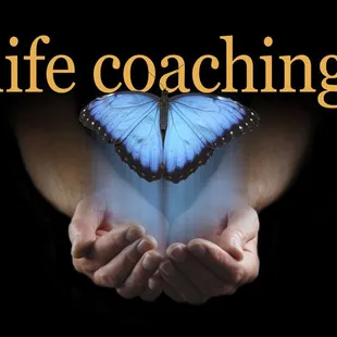 Release the blocks and fly free