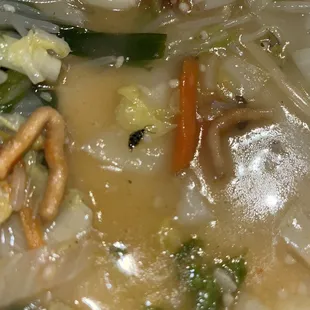 ramen and noodles, food