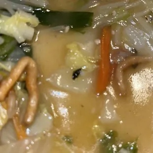 soup, food, chowder, soups and chowder