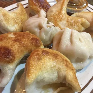 pan fried dumplings (2016-2019)