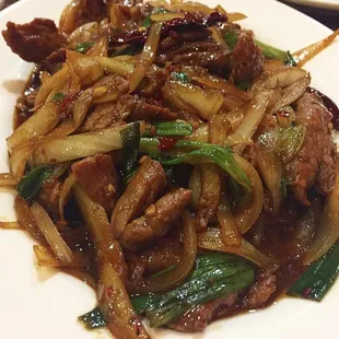 scallion and beef (2016-2019)