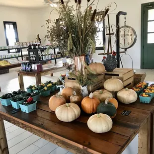 a display of pumpkins and squash
