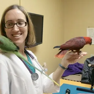 Our doctors treat cats and dogs, as well as exotic pets such as birds, reptiles, and a few small mammals.