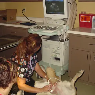 We offer advanced diagnostics including digital radiology and ultrasound.