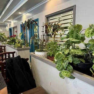 They painted the walls