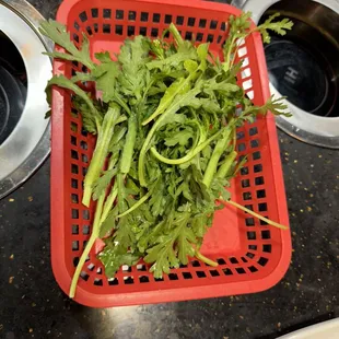 Tong ho aka chrysanthemum