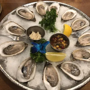 Oysters