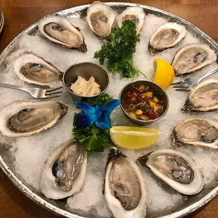 Oysters on the shell.