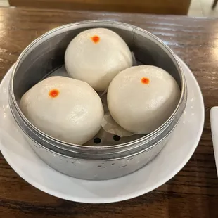 Custard buns