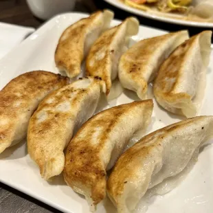 Pan Fried Dumplings