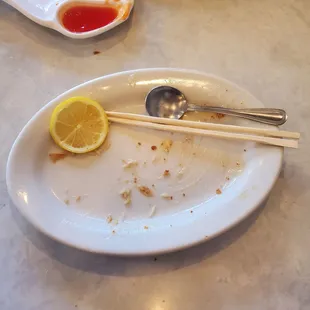 What happened to my lemon chicken:). Great food. Happy with this place!