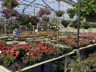 Country Place Greenhouse