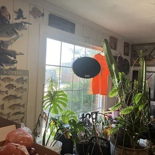 Inside