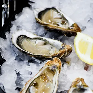 $1 Oyster Thursdays at New Heights