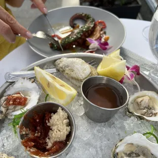 1/2 Dozen Oyster