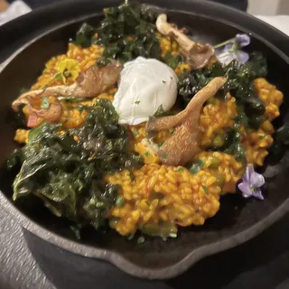Kale & Mushroom Paella