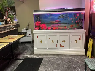 China Tiger