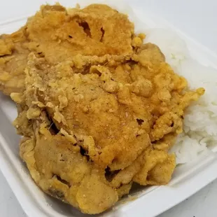 Crispy Fried Chicken. Nice and juicy. The flavor is OK. Nothing special.