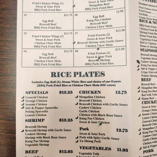 Combination and Rice Plates