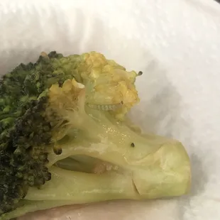 Worm on broccoli