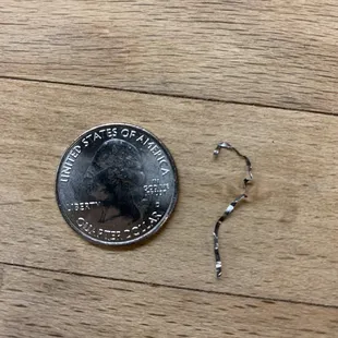 Piece of metal the length of a quarter found in food.