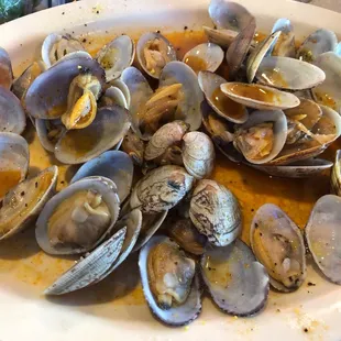 Clams