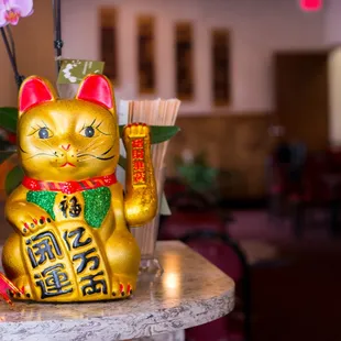 Interior - Welcome Cat