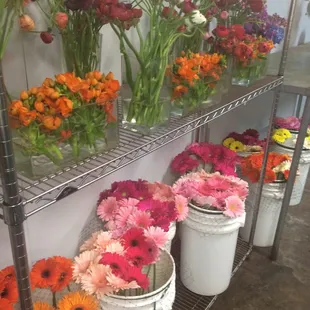 Cash and carry cooler