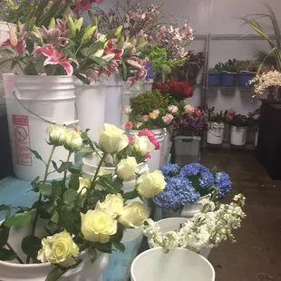 Cash and carry cooler