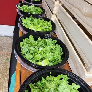 Fresh salads Made Daily!
