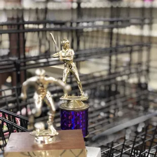 Championship trophies