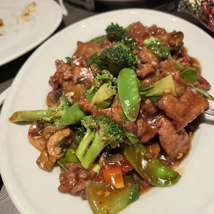 Szechuan Garlic Beef