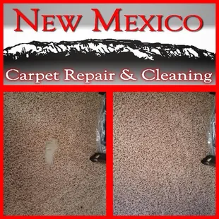 West side Albuquerque pet damage repair by New Mexico Carpet Repair and Cleaning.