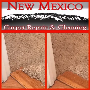 This client had some pet damage, we fixed it with a bonded insert.