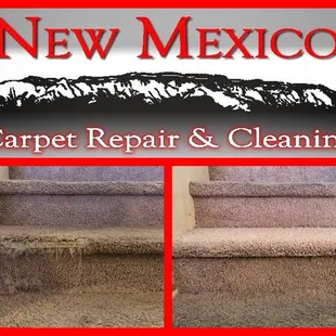 Ventana Ranch pet damaged stair repair by New Mexico Carpet Repair and Cleaning.