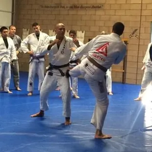Master Royce Gracie!