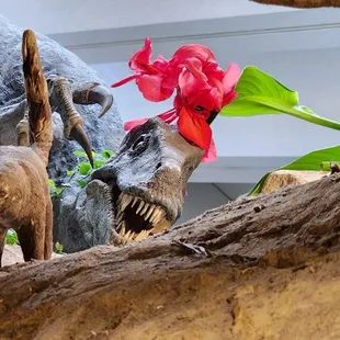 Fun photo.  Try to find the dinosaur.