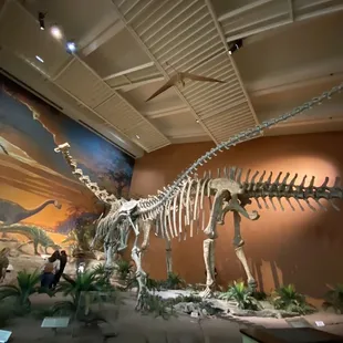 The big dinosaur bone room.