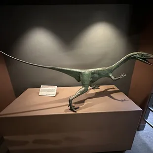 A bronze statue of Coelophysis, New Mexico's state fossil, by Phillip Bercheff.
