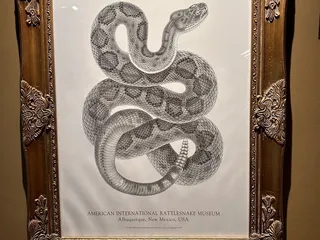 American International Rattlesnake Museum