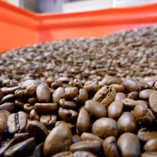 Freshly roasted coffee beans