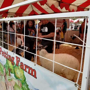Petting farm