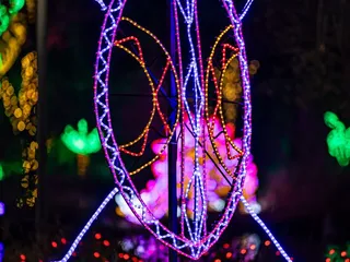 River Of Lights
