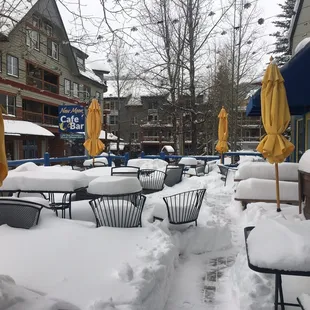 The snow has been amazing