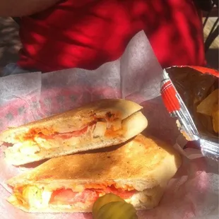 Mick Jagger Panini