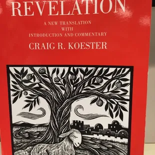 Anchor Yale Bible series. Use commentaries that translators reference.